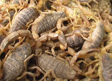 合肥小區(qū)開(kāi)荒保潔要注意哪些事項(xiàng)呢？